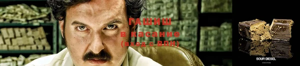 крисы Магас