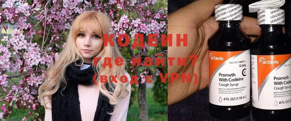 крисы Магас