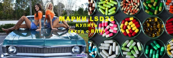 крисы Магас