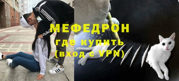 крисы Магас