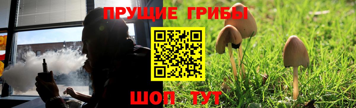 Псилоцибиновые грибы Psilocybine cubensis Таганрог